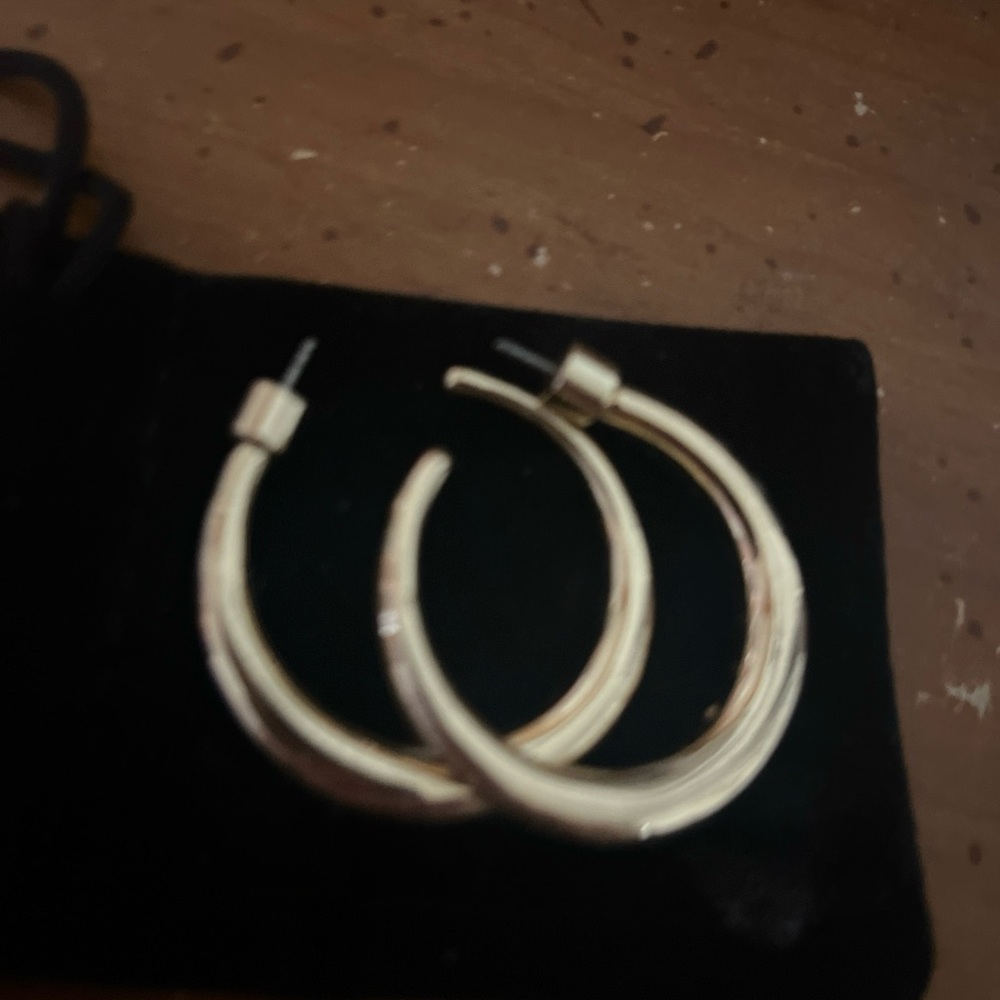 Elegant Gold Hoop Earrings